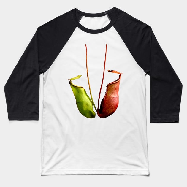 Nepenthes tropical pitcher plant botanical drawing carnivorous plant Baseball T-Shirt by Venus Fly Trap Shirts
